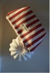 TROUSSE DE BEAUTÉ  EN COTON RAYURES ROUGES_MARKETPLACE