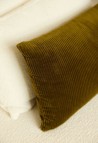ÉCHANTILLON VELOURS OLIVE