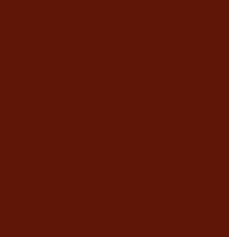 ÉCHARPE  BORDEAUX
